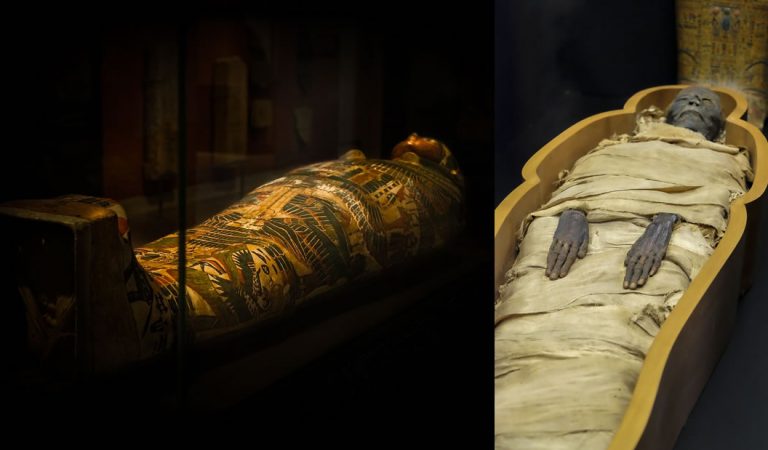 ¿Maldición egipcia? Seis arqueólogos mueren misteriosamente luego de abrir un sarcófago ¿Maldición egipcia? Seis arqueólogos mueren misteriosamente luego de abrir un sarcófago