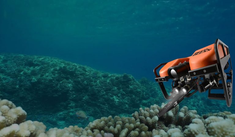 Una «fiebre del oro» en el fondo del océano podría ser el final para los ecosistemas Una «fiebre del oro» en el fondo del océano podría ser el final para los ecosistemas