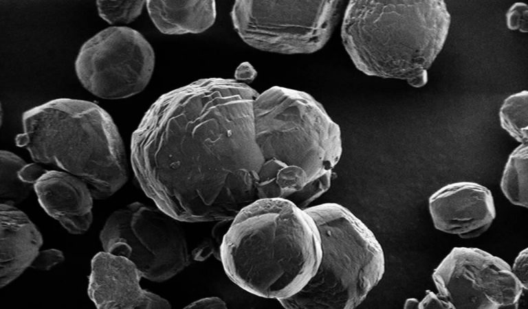 Hallan microbios en cristales enterrados a 60 metros bajo el mar de Japón Hallan microbios en cristales enterrados a 60 metros bajo el mar de Japón