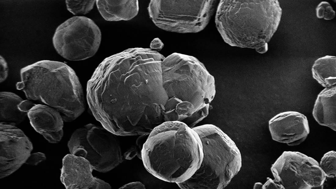 Hallan microbios en cristales enterrados a 60 metros bajo el mar de Japón