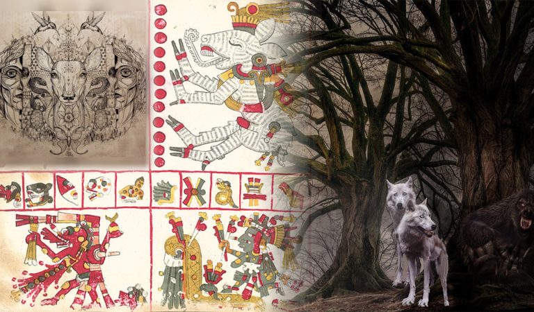 Nahuales: el misterio de entidades y chamanes cambiaformas de Mesoamérica Nahuales: el misterio de entidades y chamanes cambiaformas de Mesoamérica