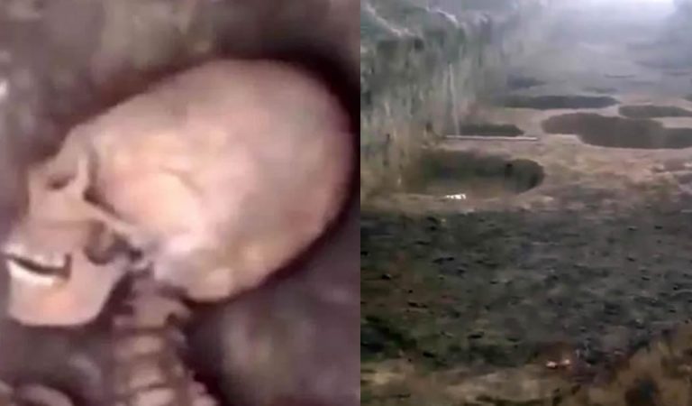 Reportan un extraño cráneo alargado con un «conjunto completo de dientes» en Rusia Reportan un extraño cráneo alargado con un «conjunto completo de dientes» en Rusia