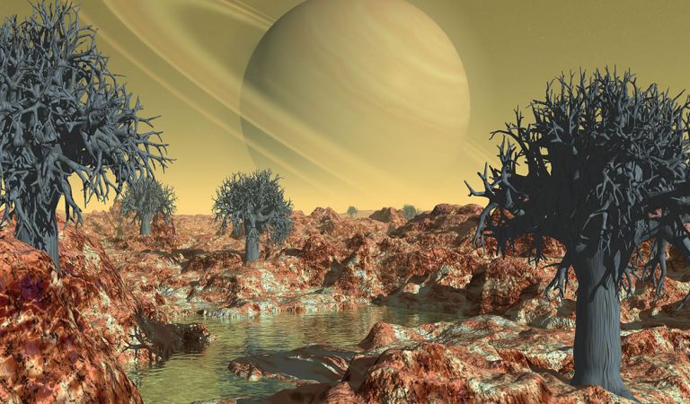 Árboles y vida vegetal alienígena podrían ser detectados con este nuevo dispositivo Árboles y vida vegetal alienígena podrían ser detectados con este nuevo dispositivo