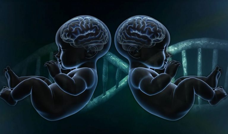 Gemelas editadas genéticamente podrían tener «cerebros mejorados» Gemelas editadas genéticamente podrían tener «cerebros mejorados»