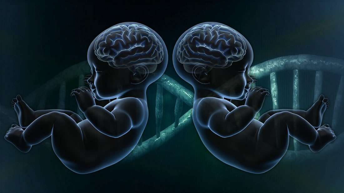 Gemelas editadas genéticamente podrían tener «cerebros mejorados»
