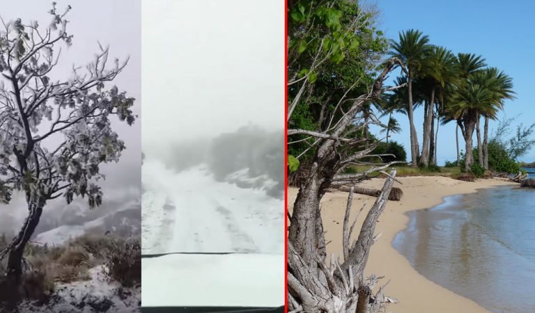 Cae nieve en Hawaii y olas de hasta 18 metros golpean su costa Cae nieve en Hawaii y olas de hasta 18 metros golpean su costa