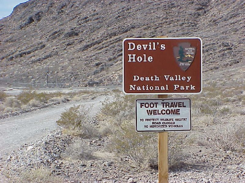 Cartel del misterioso Devils Hole, cortesía Nevada Fish and Wildlife Officce