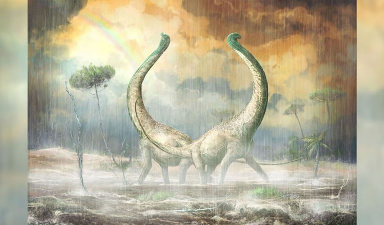 Hallan un dinosaurio con hueso en forma de corazón que vivió hace 100 millones de años en África Hallan un dinosaurio con hueso en forma de corazón que vivió hace 100 millones de años en África