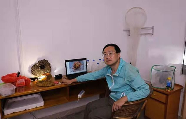 Zhao Li, del Huaxi Insect Museum