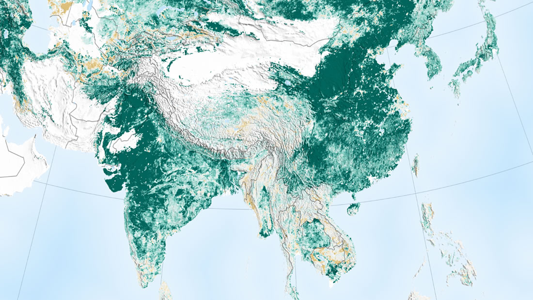 China e India han vuelto al mundo más verde que hace 20 años, dice un informe de NASA
