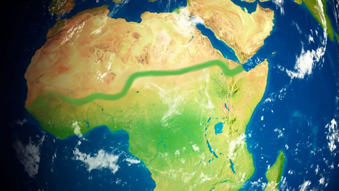 Docenas de países trabajan en plantar una muralla verde en África ¡y lo están logrando!