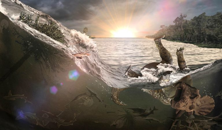 Hallan un cementerio de dinosaurios Triceratops, peces y mamíferos de hace 66 millones de años Hallan un cementerio de dinosaurios Triceratops, peces y mamíferos de hace 66 millones de años