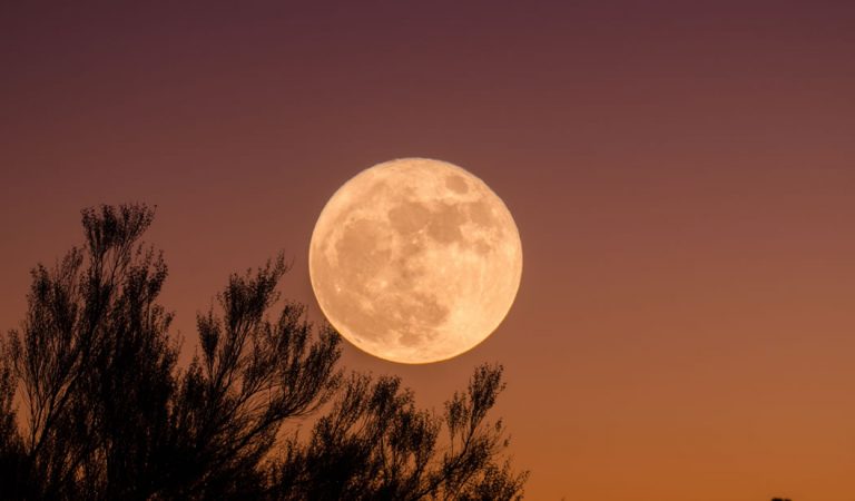 La tercera superluna del año llega esta semana ¿te la vas a perder? La tercera superluna del año llega esta semana ¿te la vas a perder?