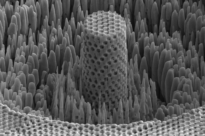 Una muestra microscópica de la «madera metálica» de los investigadores. Su estructura porosa es responsable de su alta relación fuerza-peso, y la hace más parecida a los materiales naturales, como la madera