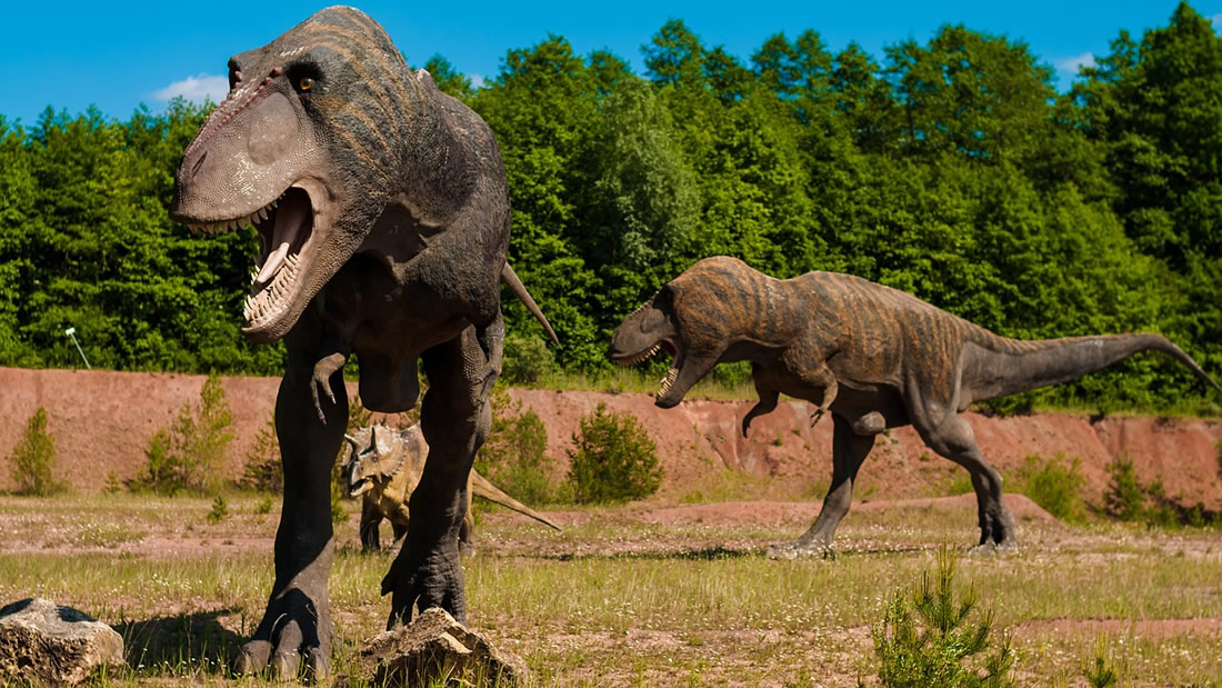 Paleontólogos hallan al más grande Tiranosaurio Rex de todos los tiempos en Canadá