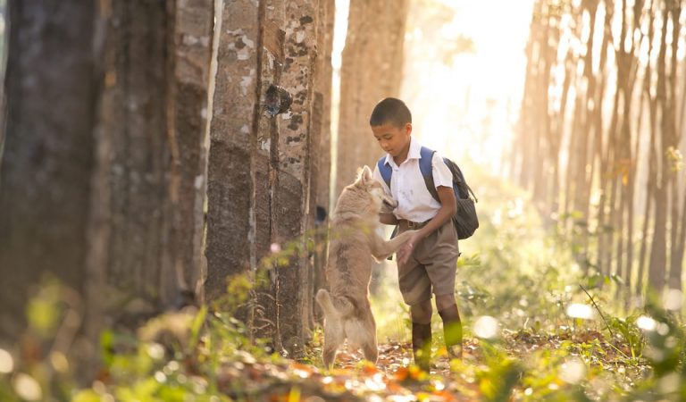 Respeto a los animales: la nueva asignatura impartida en colegios de España Respeto a los animales: la nueva asignatura impartida en colegios de España