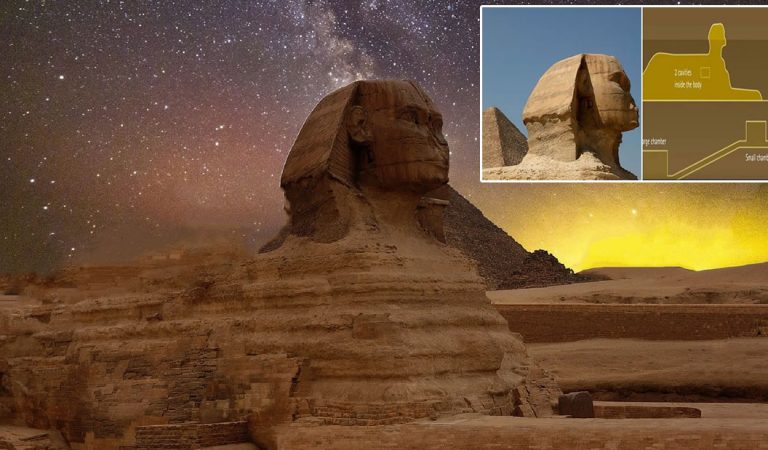Una puerta oculta en la Esfinge conduce a una cámara subterránea, sugiere historiador Una puerta oculta en la Esfinge conduce a una cámara subterránea, sugiere historiador
