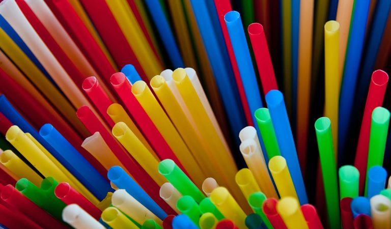 Unión Europea prohíbe los plásticos de un solo uso Unión Europea prohíbe los plásticos de un solo uso