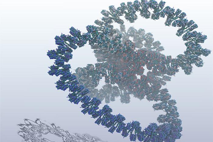 Las simulaciones genéticas generadas por computadora presentaron mil millones de átomos, el primero de su tipo