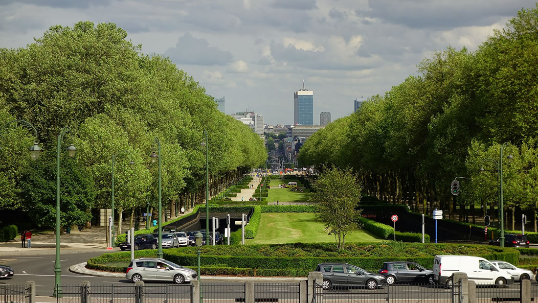 Bruselas plantará un árbol por cada bebé nacido