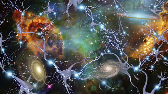 El cerebro se conecta al cosmos a escala cuántica