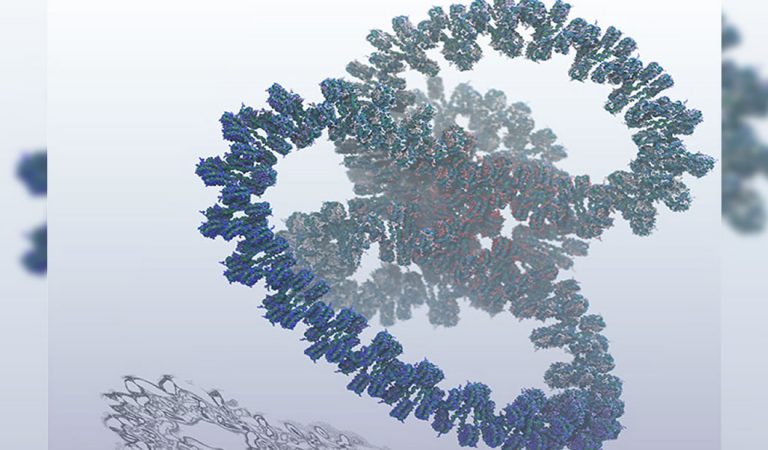 Crean la primera simulación biomolecular de un gen completo de ADN Crean la primera simulación biomolecular de un gen completo de ADN