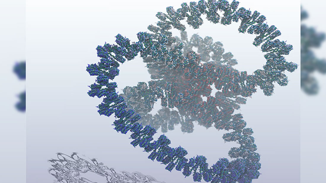 Crean la primera simulación biomolecular de un gen completo de ADN