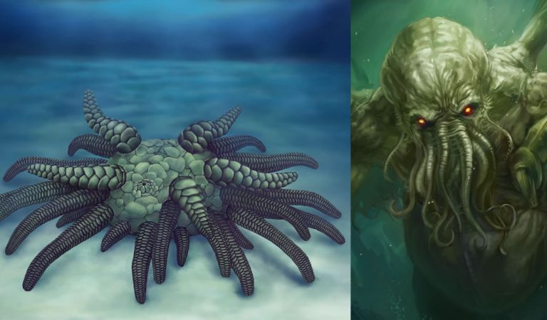 Cthulhu, el monstruo de H.P. Lovecraft, pero en miniatura, vivió en los océanos hace 430 millones de años Cthulhu, el monstruo de H.P. Lovecraft, pero en miniatura, vivió en los océanos hace 430 millones de años