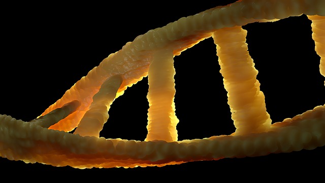 El ADN y el ARN podrían haber existido antes de que la vida comenzara en la Tierra