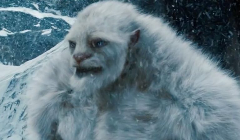 Ejército de la India afirma haber hallado evidencia del Yeti Ejército de la India afirma haber hallado evidencia del Yeti