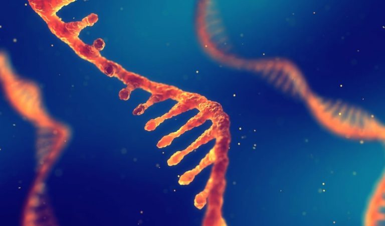 El ADN y el ARN podrían haber existido antes de que la vida comenzara en la Tierra El ADN y el ARN podrían haber existido antes de que la vida comenzara en la Tierra