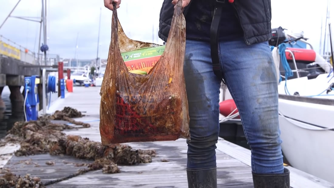 Estas bolsas que se suponían biodegradables siguen «intactas» luego de 3 años enterradas