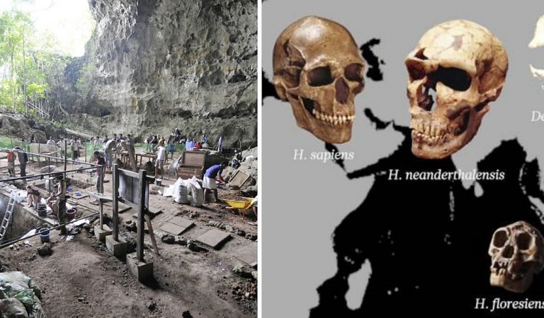 Hallan una nueva especie de humano «pequeño» en Filipinas Hallan una nueva especie de humano «pequeño» en Filipinas