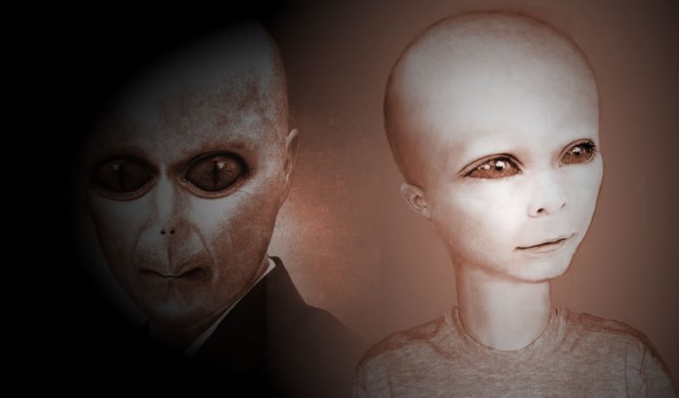 Híbridos humanos-alienígenas caminan entre nosotros y podrían ser la nueva especie dominante, afirma profesor de Oxford Híbridos humanos-alienígenas caminan entre nosotros y podrían ser la nueva especie dominante, afirma profesor de Oxford