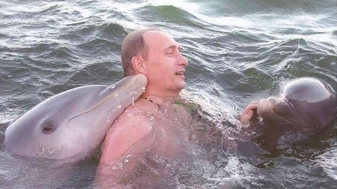 Informe militar ruso afirma que soldados aprendieron telepatía usando delfines