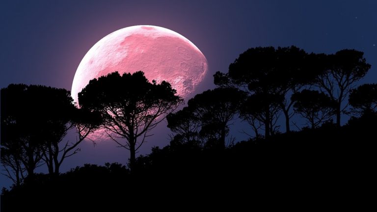 Luna rosa alumbrarÃ¡ los cielos este 19 de abril