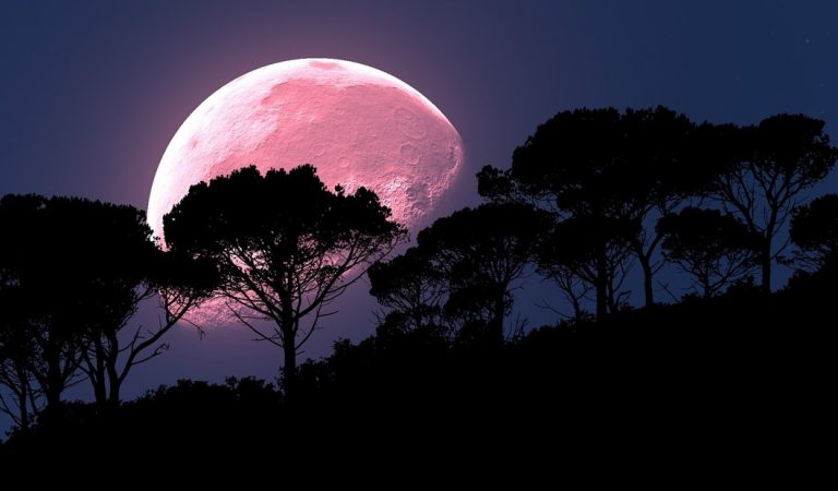 Luna rosa alumbrará los cielos este 19 de abril Luna rosa alumbrará los cielos este 19 de abril
