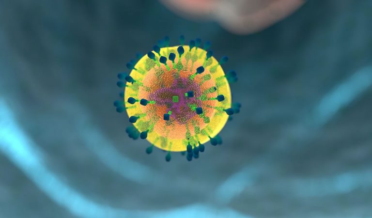 Terapia contra el VIH logra eliminar el virus y «matarlo» Terapia contra el VIH logra eliminar el virus y «matarlo»
