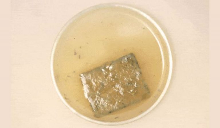 Científicos crean el «santo grial» del plástico: material que se recicla casi de forma infinita Científicos crean el «santo grial» del plástico: material que se recicla casi de forma infinita