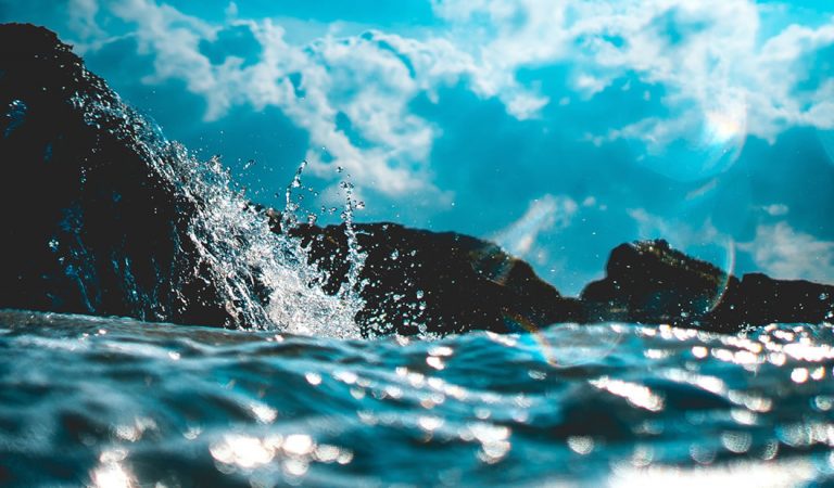 Científicos logran generar energía eléctrica del agua de mar, pero imitando a la naturaleza Científicos logran generar energía eléctrica del agua de mar, pero imitando a la naturaleza