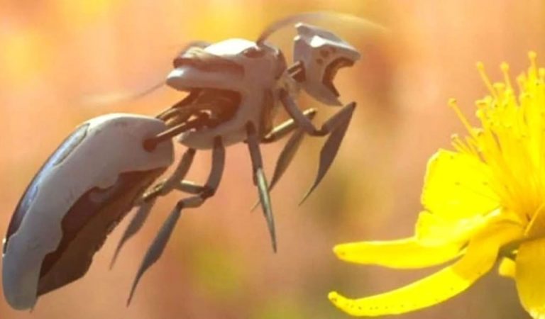 Compañía Walmart patenta abejas robot autónomas Compañía Walmart patenta abejas robot autónomas