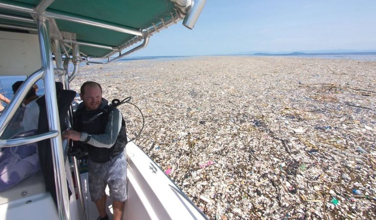 Contaminación por plásticos está matando las bacterias que producen el oxígeno que respiramos Contaminación por plásticos está matando las bacterias que producen el oxígeno que respiramos