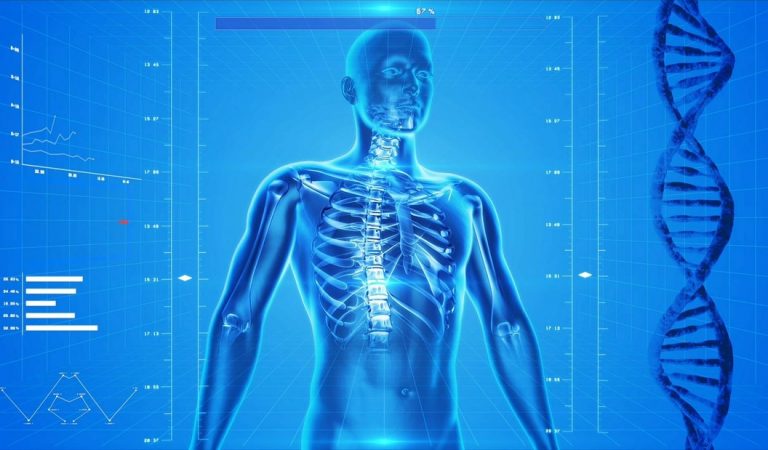 Descodificación biológica del cuerpo humano Descodificación biológica del cuerpo humano