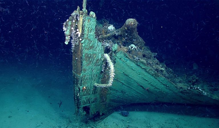 Descubren un misterioso naufragio de 200 años en el Golfo de México Descubren un misterioso naufragio de 200 años en el Golfo de México