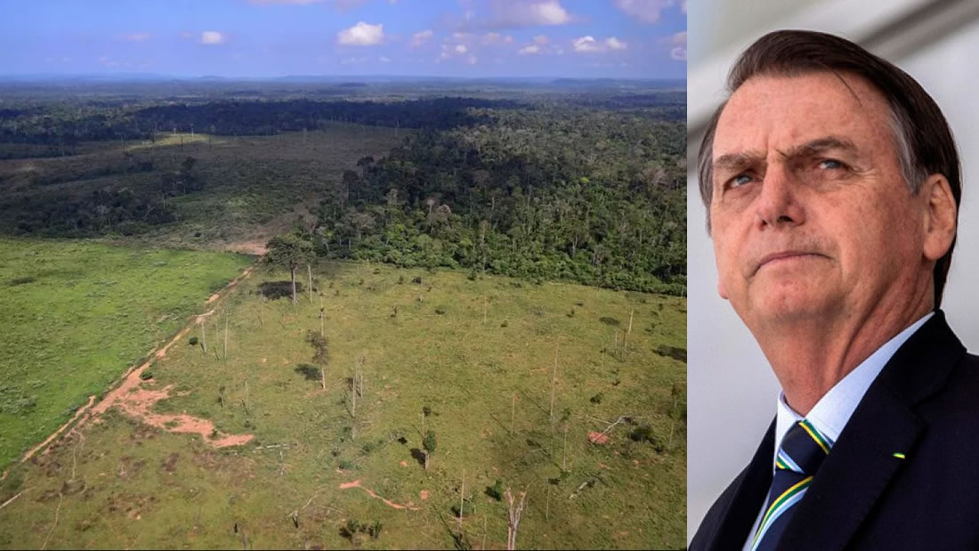«Era Bolsonaro» está causando la deforestación de 19 hectáreas por hora en la Amazonía