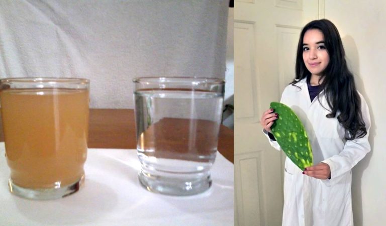 Estudiante universitaria de México logra purificar agua usando nopal Estudiante universitaria de México logra purificar agua usando nopal