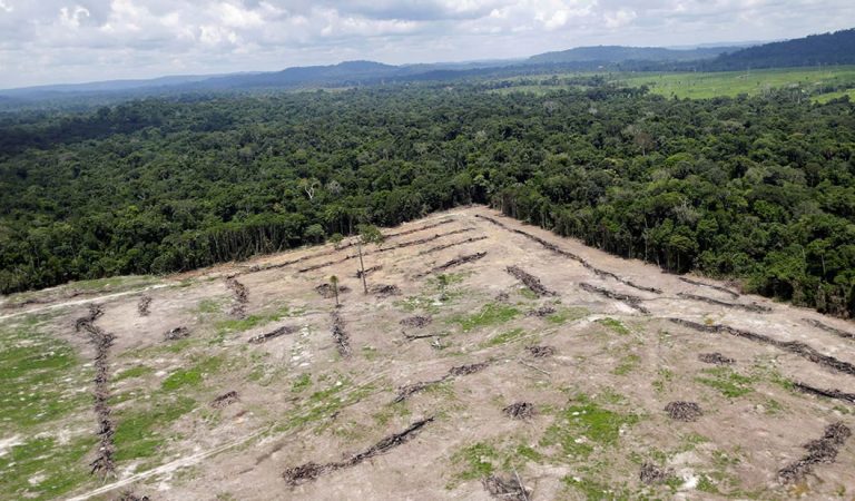 Gobierno de Brasil se prepara para depredar la Amazonía y convertirla en una zona de extracción minera Gobierno de Brasil se prepara para depredar la Amazonía y convertirla en una zona de extracción minera