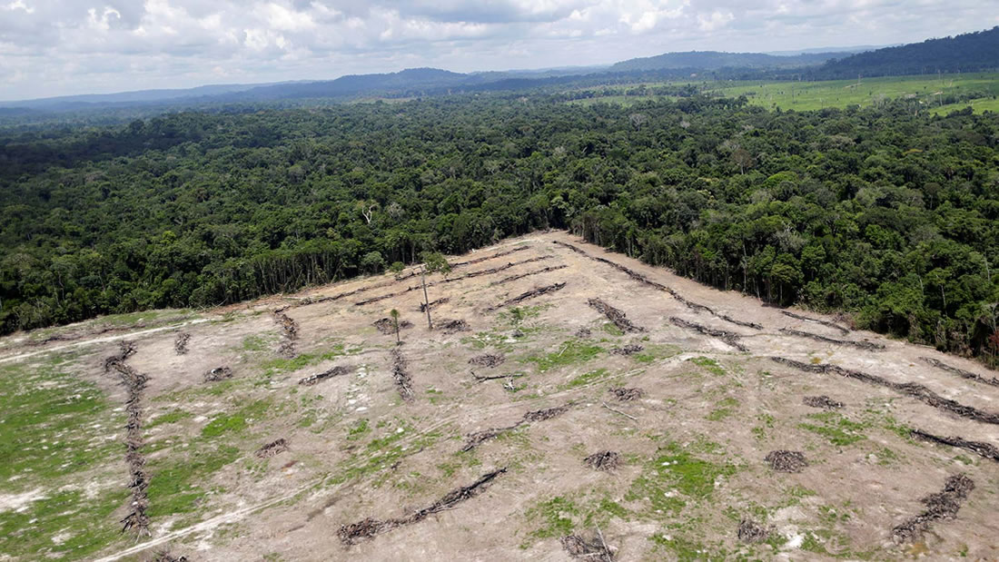 Gobierno de Brasil se prepara para depredar la Amazonía y convertirla en una zona de extracción minera