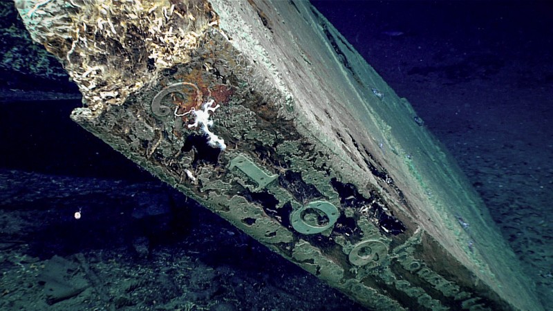 Los números «2109» son visibles a lo largo del borde trasero del timón del naufragio. El patrón de clavos que aseguran el revestimiento de cobre es claramente visible