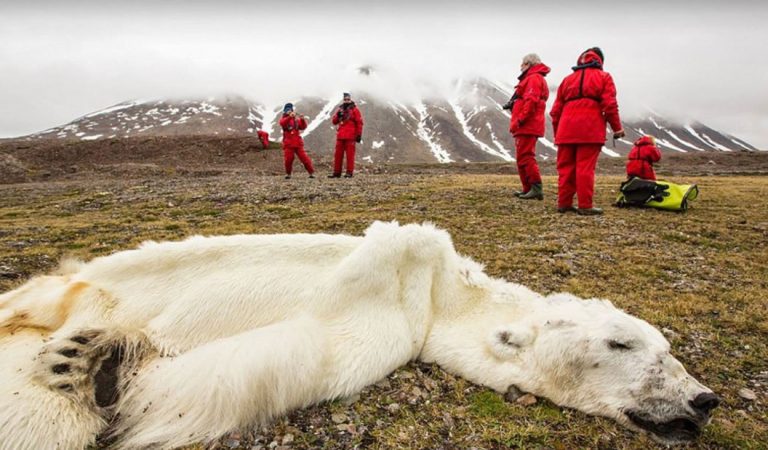 ONU: Hemos perdido una gran parte de la naturaleza y lo que queda está en decadencia ONU: Hemos perdido una gran parte de la naturaleza y lo que queda está en decadencia